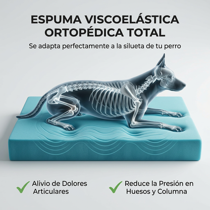Sofa Cloud™ · Ortopédico & Anti-Ansiedad