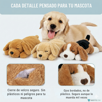 Pack verano