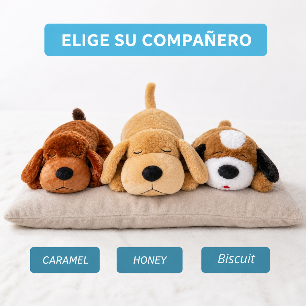 Pack verano